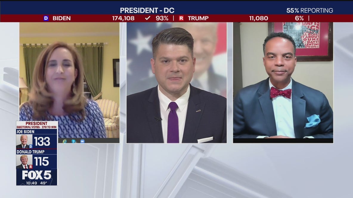 2020 Election Panel